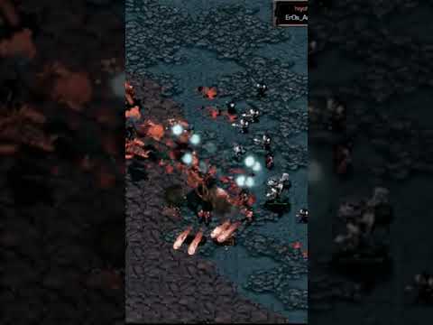 Ample vs Soma funny moment clip #broodwar #falconpaladin #starcraftremastered