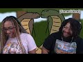 Your Life As A King Cobra Reaction