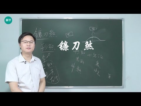 鐮刀煞 意思