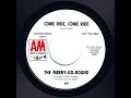 The Merry-Go-Round - Come Ride, Come Ride (mono 45 mix)