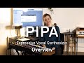Pipa - Overview