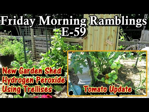 , title : 'Tomatoes, Hydrogen Peroxide, Trellising, My New Garden Shed, & Tour:  FM Gardening Ramblings E-59'