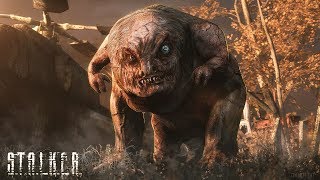 МУТАНТЫ ИГРЫ «S.T.A.L.K.E.R.» - ДО и ПОСЛЕ