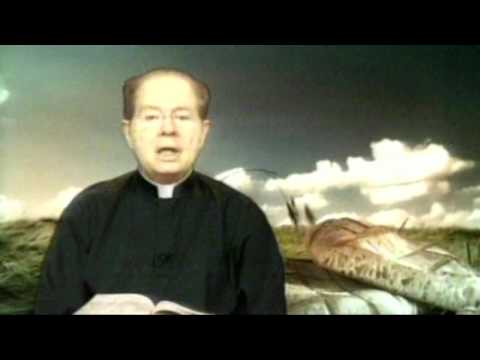 O Pão Nosso  5 Dezembro 2016     -    Pe. F. C. Cardoso