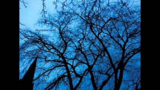 northern lights / Vampillia + Nadja