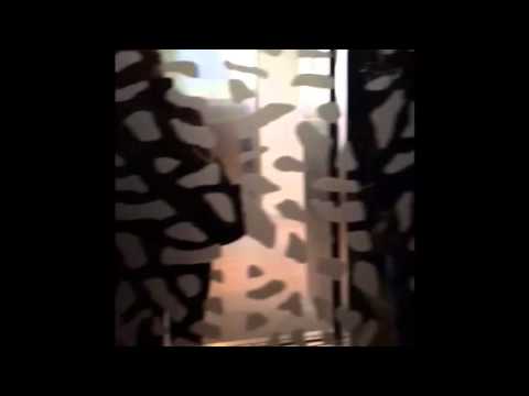 Dark ThyssenKrupp high-rise traction elevators @ The W hotel, Fort Lauderdale Florida.