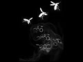 Vic Chesnutt- Parameters