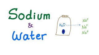 Sodium and Water - Electrolytes - Osmosis - Osmotic Pressure - Fluids and Electrolytes Series