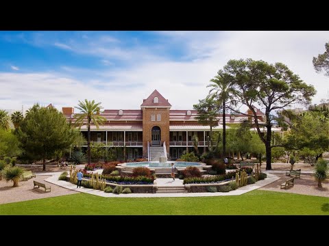 Wonder Makes You | The University of Arizona