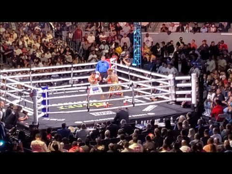 Charlo vs Castano 2 full fight ends with Knockout