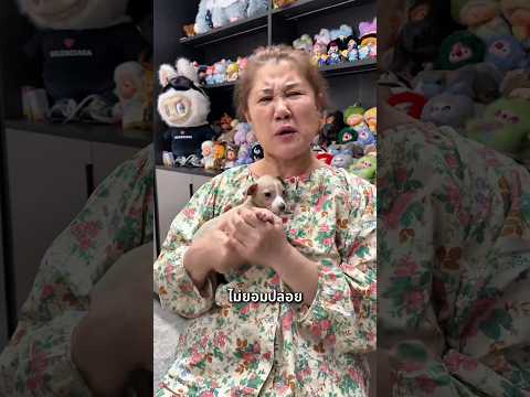 เมื่อลูกแอบซื้อหมาเข้าบ้าน🐶