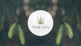 Kevin Hunter - Wild Life