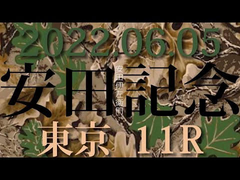 2022.06.05   東京 11R   安田記念