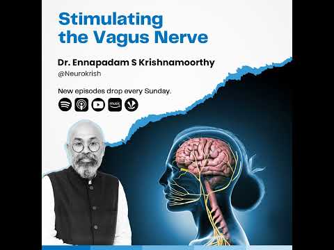The Wandering Nerve