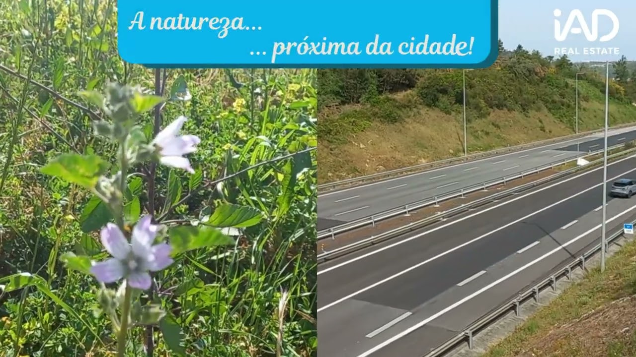 Vídeo do imóvel