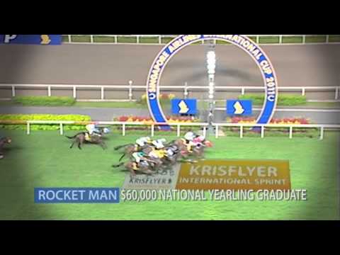 2013 Magic Millions National Sale Yearling Preview/Promo