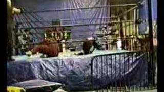 NYWA Desire Video - Ladies And Gentleman - Saliva