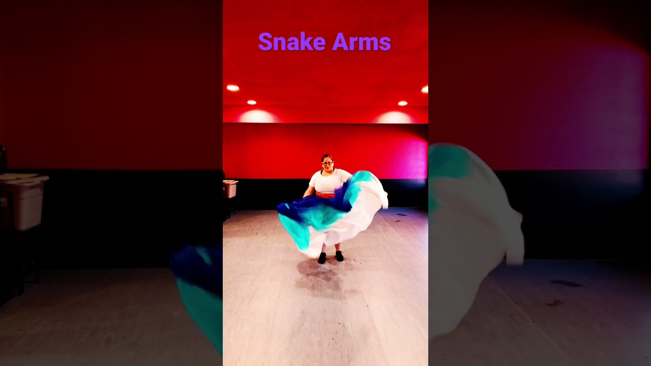 Promotional video thumbnail 3 for StarLynn: Belly Dancer & Instructor