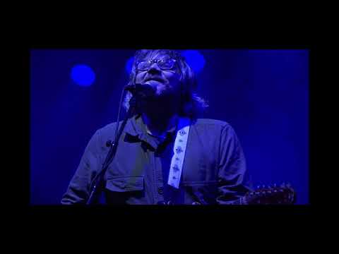 Wilco live 2021