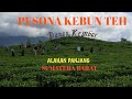 pesona panorama kebun teh danau kembar alahan panjang sumbar