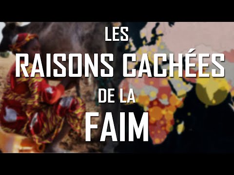 Les raisons CACHÉES de la FAIM dans le monde