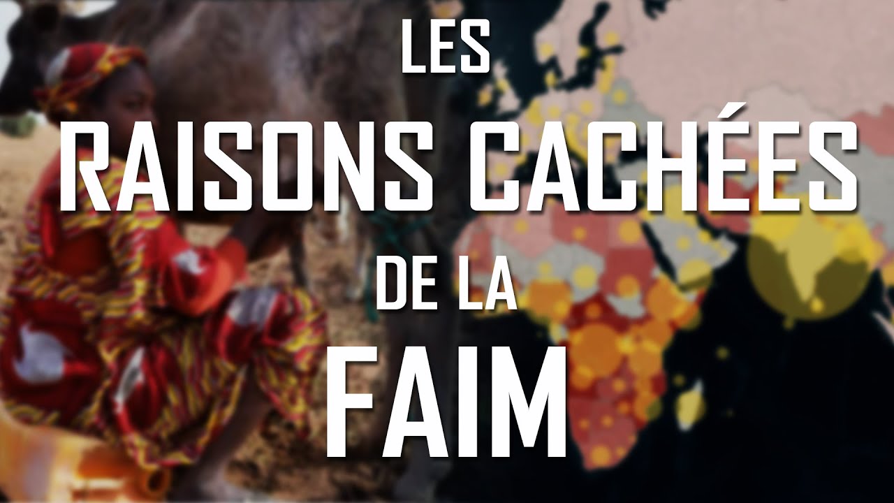 Les raisons CACHÉES de la FAIM dans le monde