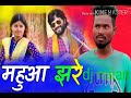 Mahuaa Jhare Re Mahila Jhare CG DJ Milan Konchara