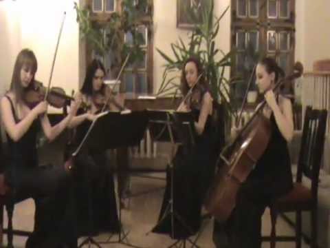 Promotional video thumbnail 11 for Alexandra NYC Cellist and Strings
