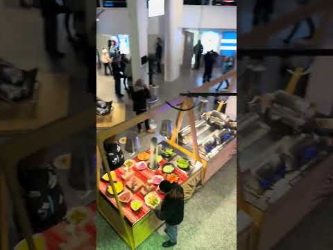 Experiencing ICE Hockey game 🏒 TPS vs Pelicans Ice at Gatorade Arena! 🥅