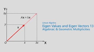 Algebraic & Geometric Multiplicity Explained Simply (2x2)