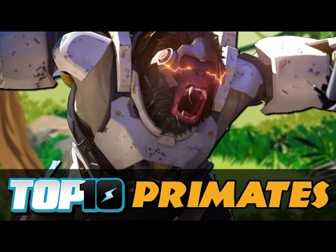 Top 10 Primates