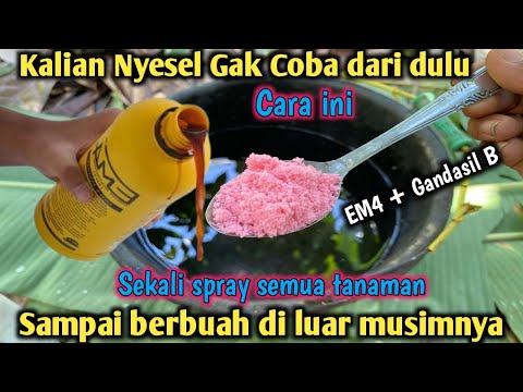 I SAID IT WOULD BE A LOSS FOR THOSE WHO DIDN'T WATCH IT!! One Spray Can Make Plants Bear Fruit Ou...