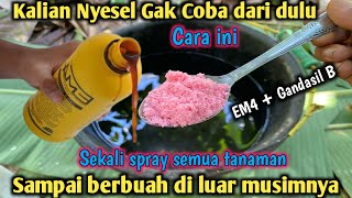 Download lagu I SAID IT WOULD BE A LOSS FOR THOSE WHO DIDN'T WATCH IT!! One Spray Can Make Plants Bear Fruit Ou... mp3