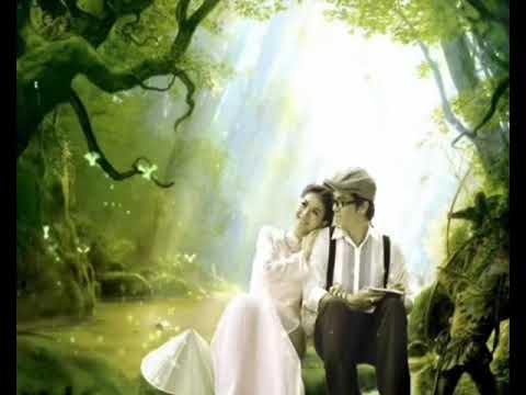 Đừng nhìn em như thế - Bông Mai