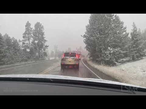 09-07-2020 Yellowstone WY Snowy Buffalo Day in the Park!