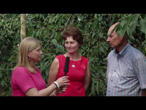 V Letnie Pokazy Czereśniowe 2016 – Marzena i Krzysztof Rafalscy