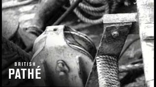 Whaling In South Africa (1947)