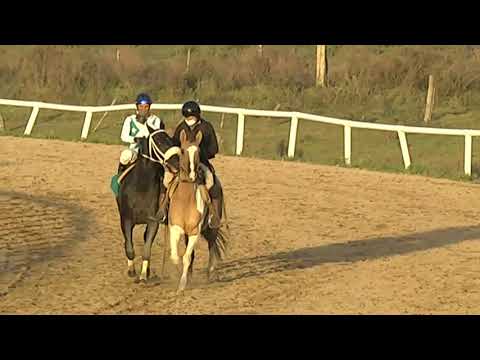 CARRERAS SINT FLORIDA  210603 c10- 1° MEK