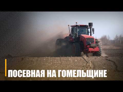 Основное внимание сейчас – овсу! Гомельщина приступила к посевной видео