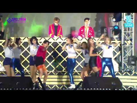 Amber, Key, Johnny & Luna Spectrum - Wildcard