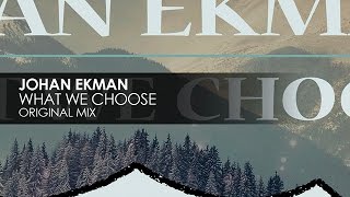 Johan Ekman - What We Choose
