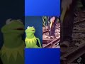 Kermit The Frog Reacts To A Naughty Kermit TIKTOK