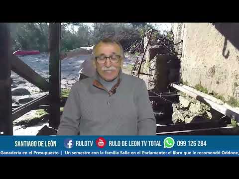 LA BOCA DE ROSARIO Noticias Canal 4 DLF