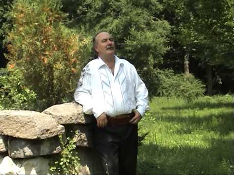 STEFAN MUNTENAS SI FELICIAN NICOLA TRAIU GREU M O DUS D ACASA