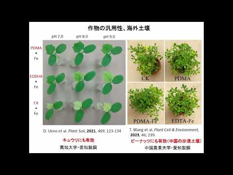 【徳島大学定例記者会見(令和4年12月20日)】イネ植物が根から鉄を吸収する機構の解明―沙漠緑化肥料PDMAの実用化を加速―