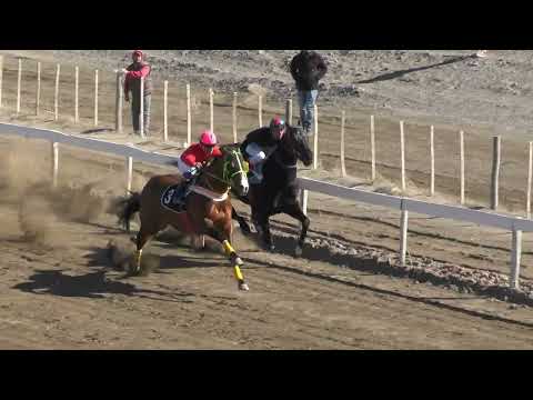 TIKI TAKA  Club Hipico Añelo - Añelo -  03/09/2023