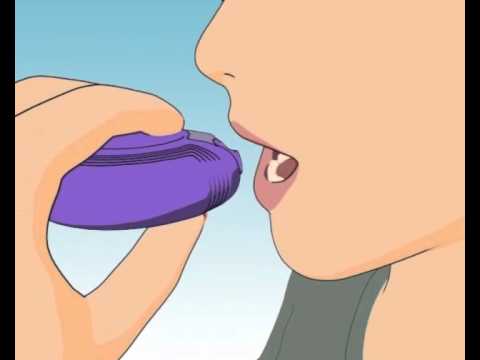 Seretide Accuhaler Final