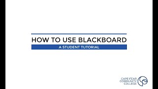 Blackboard Orientation: How to Use Blackboard