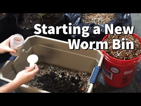 How I Start A New Worm Bin