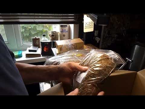 ЮГ Регион Табака. распаковка.